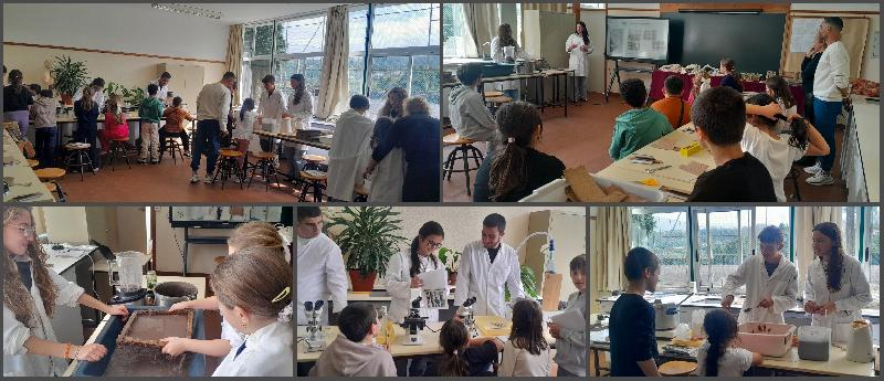 1.º Workshop - Resíduos de Bananeira e Economia Circular