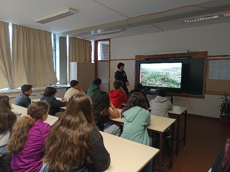 Alunos de Geologia do 12.º ano assumem papel de mentores na atividade Ensino Aprendendo