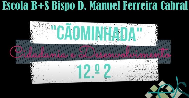 "Cãominhada" - Cidadania e Desenvolvimento 12.º 2