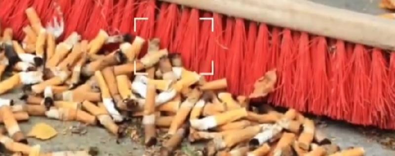 Ação de Sensibilização Ambiental 